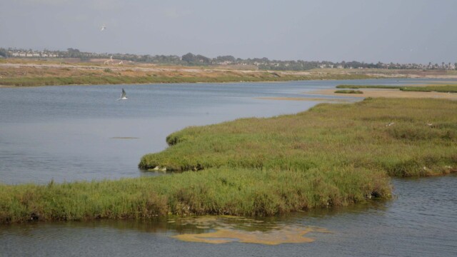 Bolsa Chica